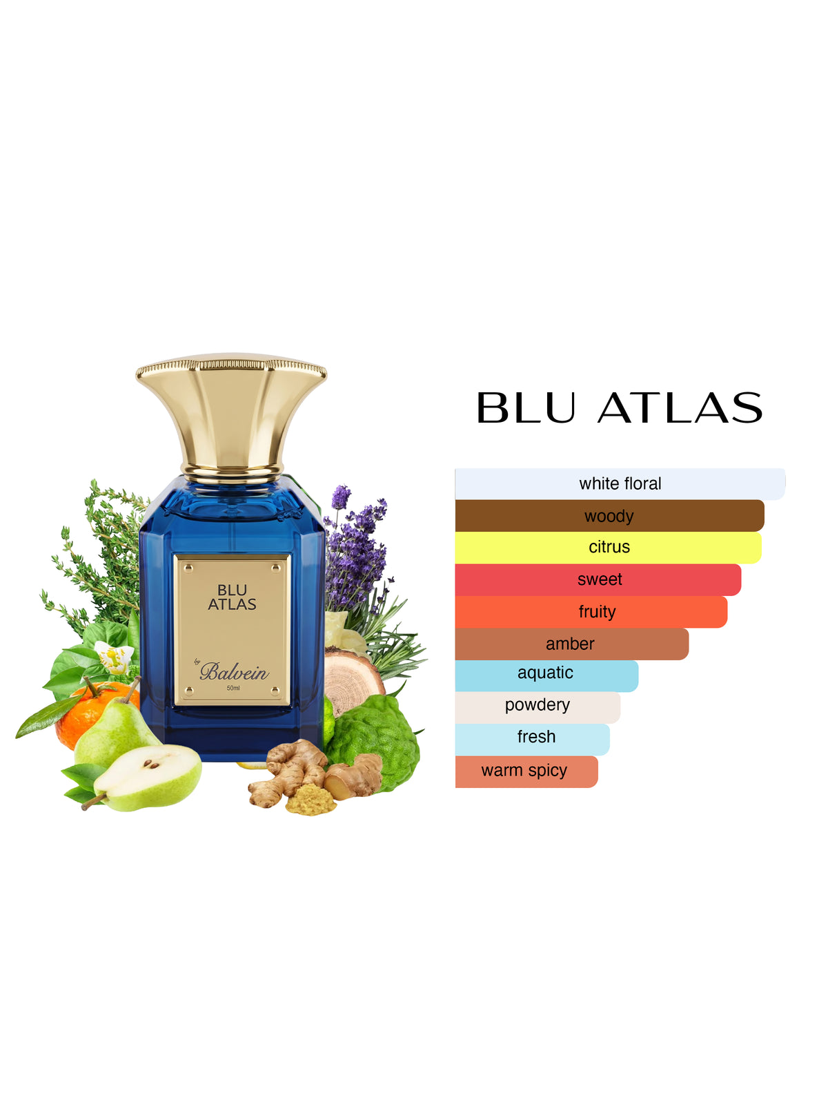 Blu Atlas